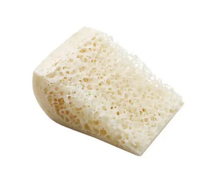 Puros Allograft Bone Substitute